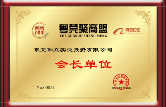 粵莞聚商盟會(huì)長(zhǎng)證書(shū)